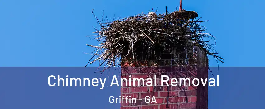 Chimney Animal Removal Griffin - GA