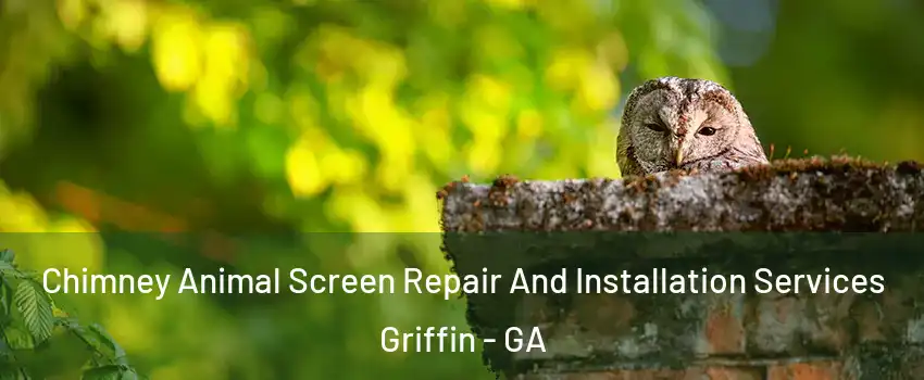  Chimney Animal Screen Repair And Installation Services Griffin - GA
