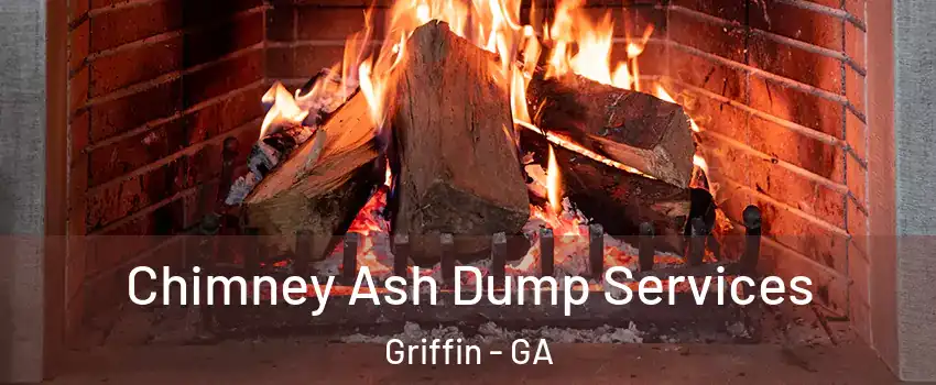 Chimney Ash Dump Services Griffin - GA