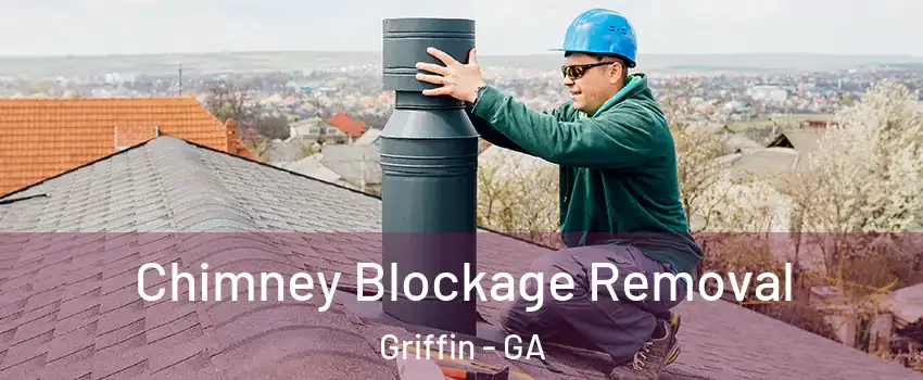  Chimney Blockage Removal Griffin - GA