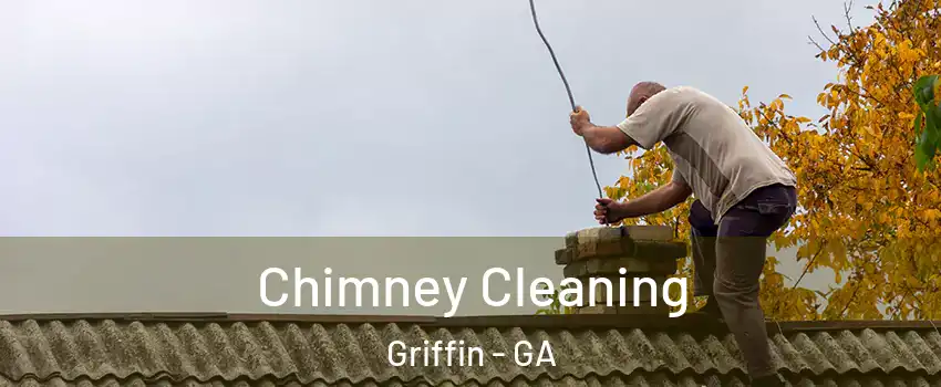  Chimney Cleaning Griffin - GA