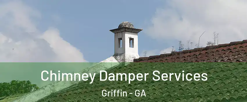  Chimney Damper Services Griffin - GA
