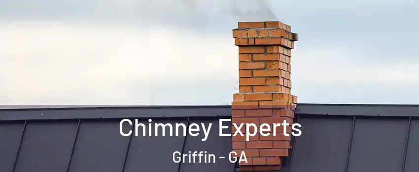  Chimney Experts Griffin - GA