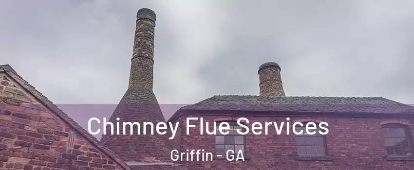  Chimney Flue Services Griffin - GA