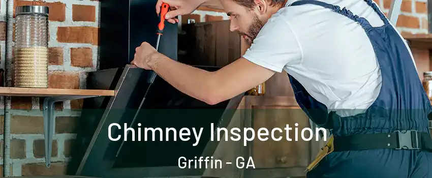  Chimney Inspection Griffin - GA
