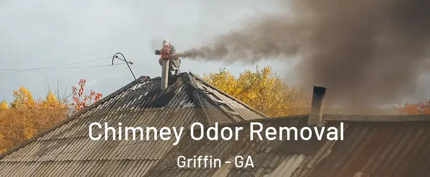  Chimney Odor Removal Griffin - GA
