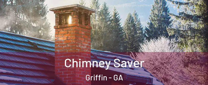 Chimney Saver Griffin - GA