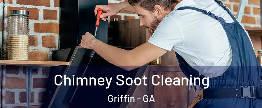  Chimney Soot Cleaning Griffin - GA