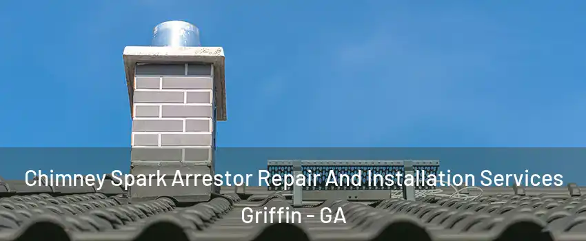  Chimney Spark Arrestor Repair And Installation Services Griffin - GA