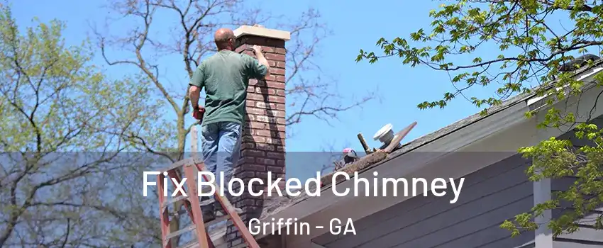  Fix Blocked Chimney Griffin - GA