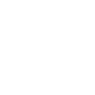 Professional Chimney Flue Installation in Griffin, Georgia