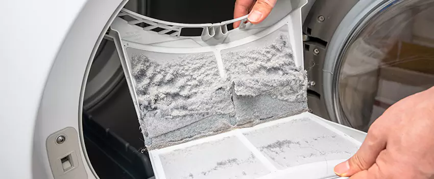 Best Dryer Lint Removal Company in Griffin, Georgia