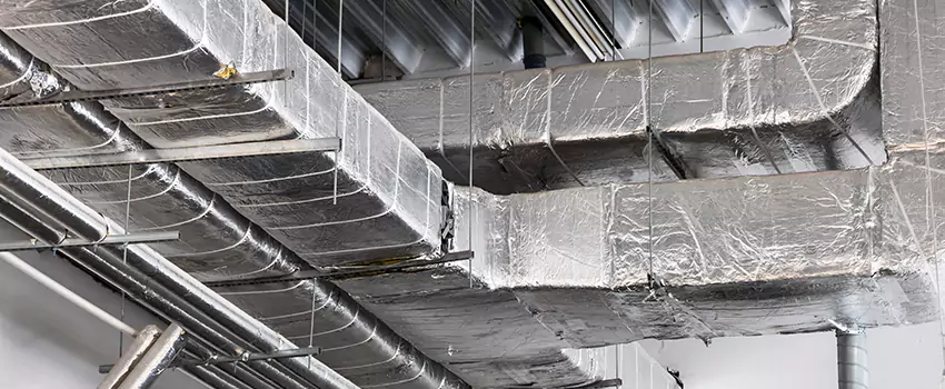 Vent Dust Cleaning Cost in Griffin, GA