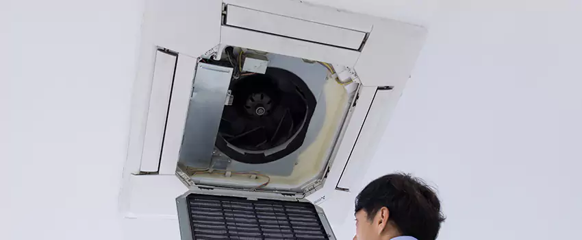 Benefits of Professional Air Duct Cleaning in Griffin, Georgia