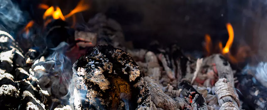 Creosote Removal Experts in Griffin, GA