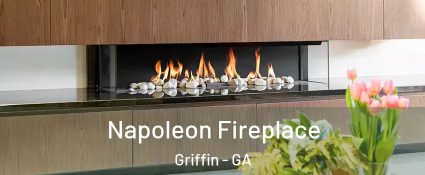  Napoleon Fireplace Griffin - GA